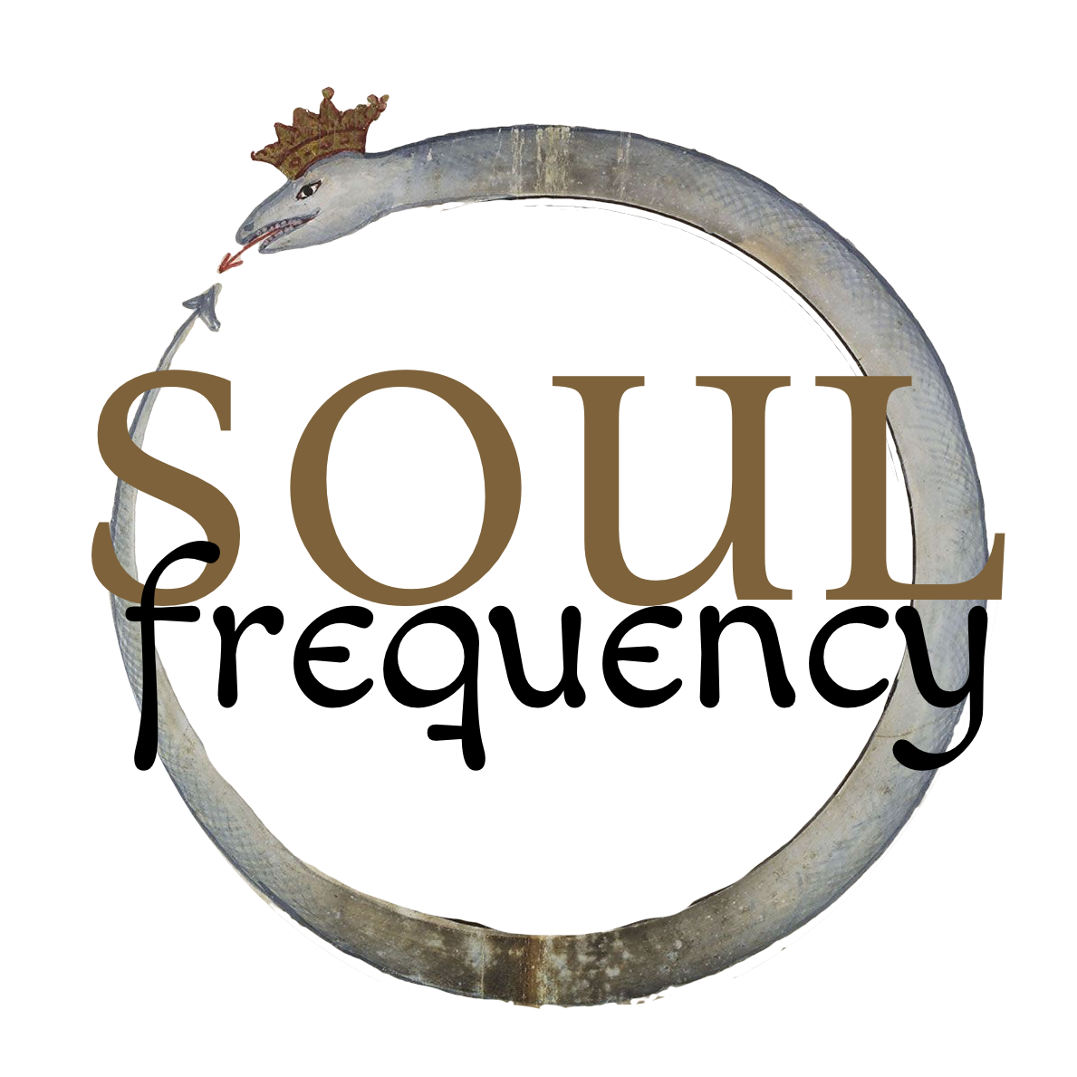Soul Frequency ouroboros logo