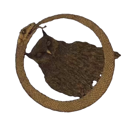 An owl within a serpent ouroboros circle.